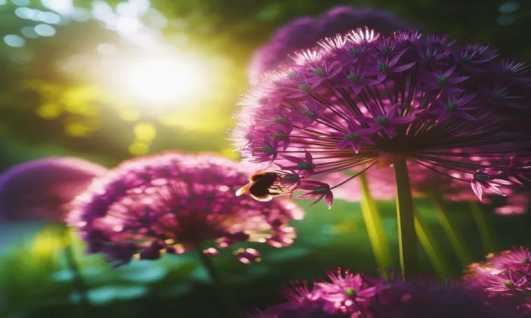 Allium Captions For Instagram