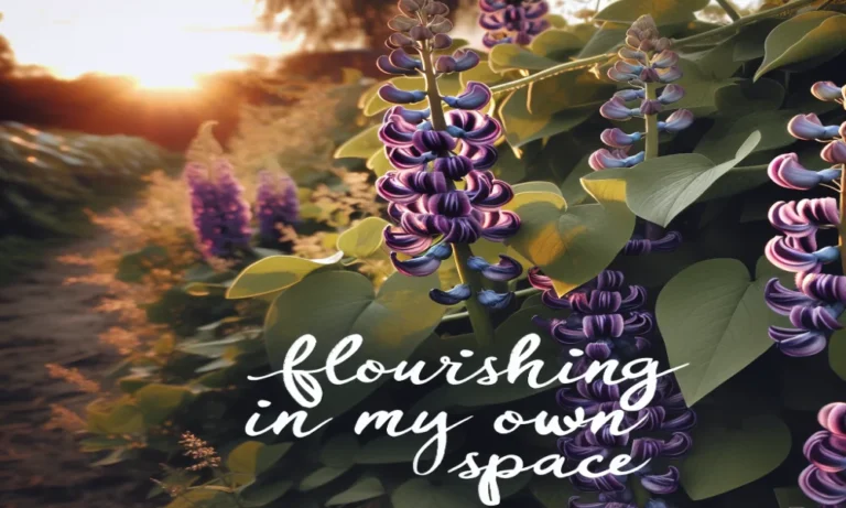 Hyacinth Bean Captions For Instagram