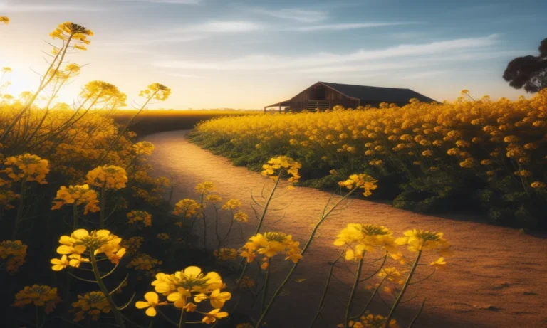 Indian Mustard Captions For Instagram