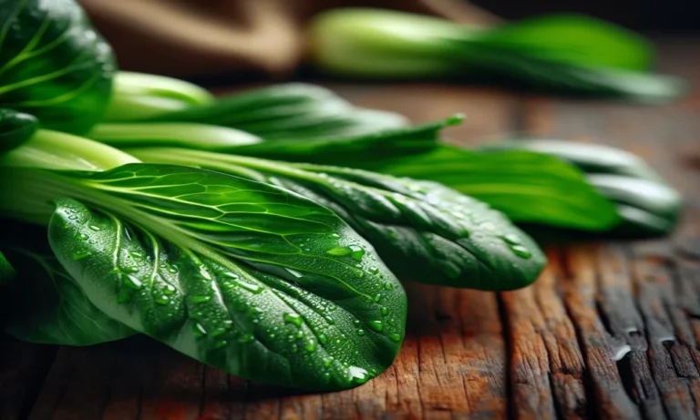 Pak Choi Captions For Instagram