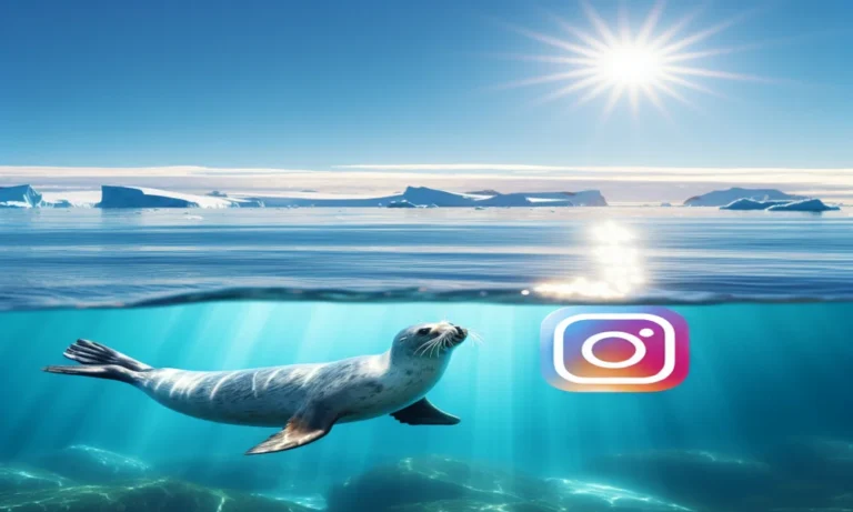 Seal Captions For Instagram