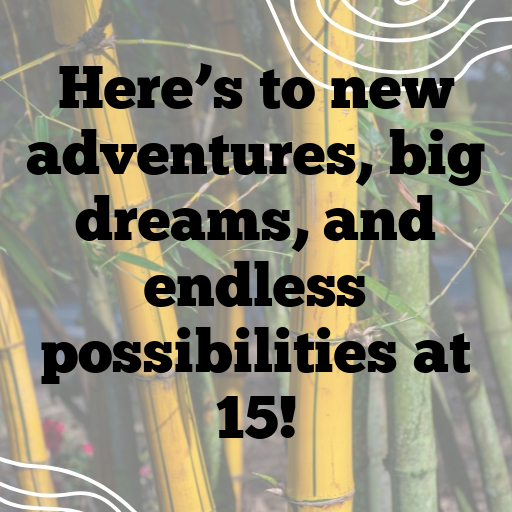 15th Birthday Captions For Instagram In (2025) 3 15th Birthday Captions Image For Instagram-TG6yd6