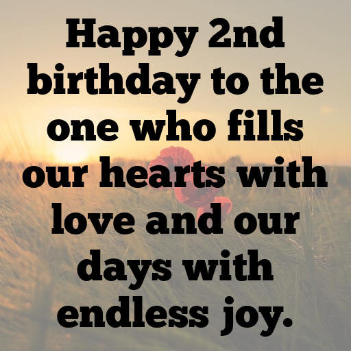 2nd Birthday Captions Image For Instagram-UJFMG5