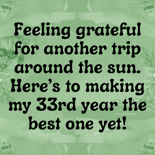 33rd Birthday Captions Photo For Instagram-8IuXyG