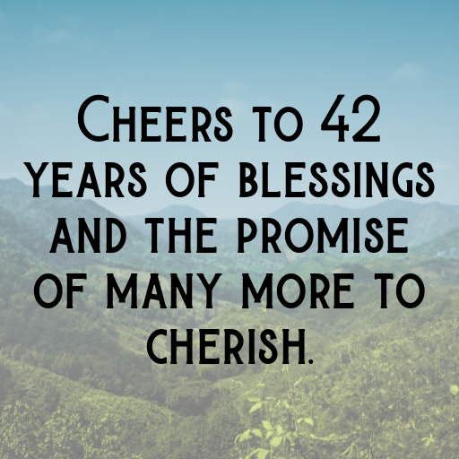 42nd Birthday Captions Photo For Instagram-JucrDL