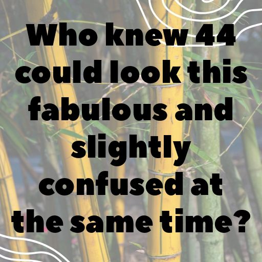 44th Birthday Captions Image For Instagram-xaNHdG