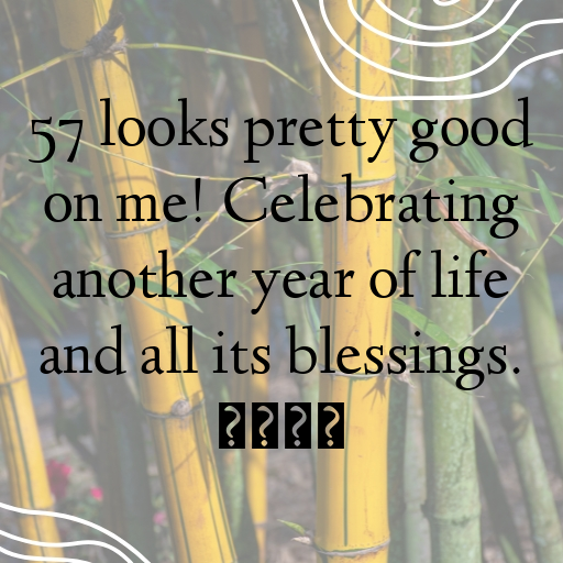 57th Birthday Captions Photo For Instagram-Nu60qj