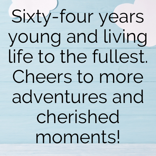 64th Birthday Captions Image For Instagram-wlsosA