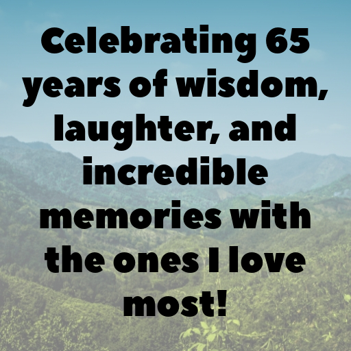 65th Birthday Captions Image For Instagram-m1479Z