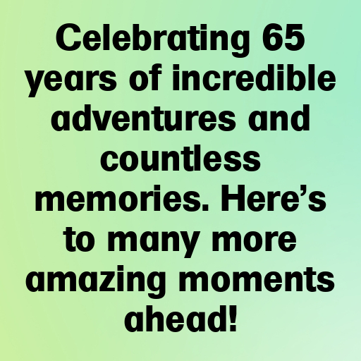 65th Birthday Captions Image For Instagram-TdAp4j