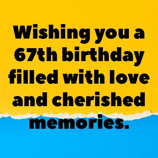 67th Birthday Captions Photo For Instagram-NFRyZF