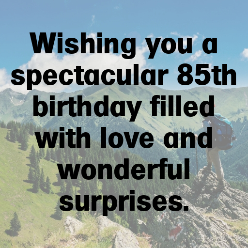 85th Birthday Captions Image For Instagram-CnC866