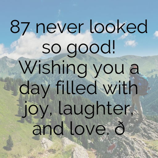 87th Birthday Captions Image For Instagram-CQJt3a