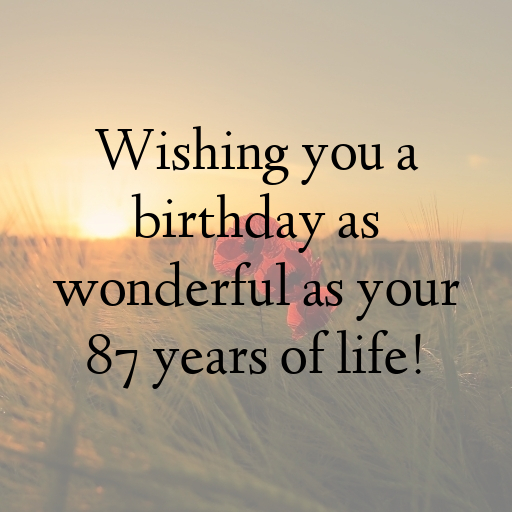 87th Birthday Captions Image For Instagram-Yse6Fa
