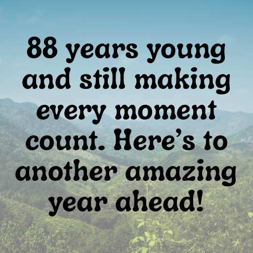 88th Birthday Captions Image For Instagram-L6CyZc