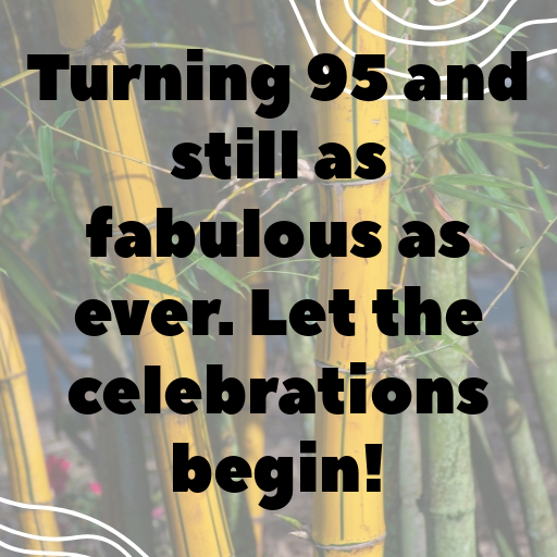 95th Birthday Captions For Instagram In (2025) 5 95th Birthday Captions Image For Instagram-z2KpNN