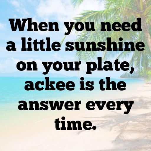 Ackee Captions Photo For Instagram In [2025]-89Z1Yf