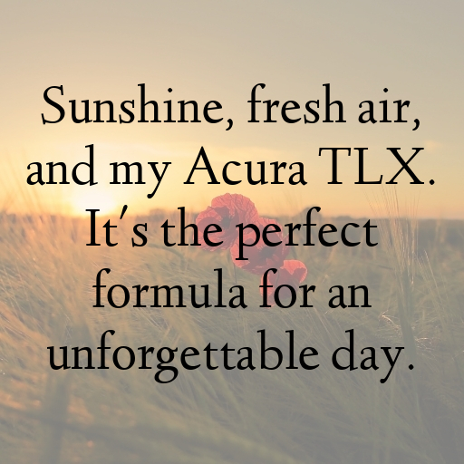 174+ Acura TLX Captions for Instagram In (2025) 6 Acura TLX Captions Image for Instagram In (2025)-3N3TXd