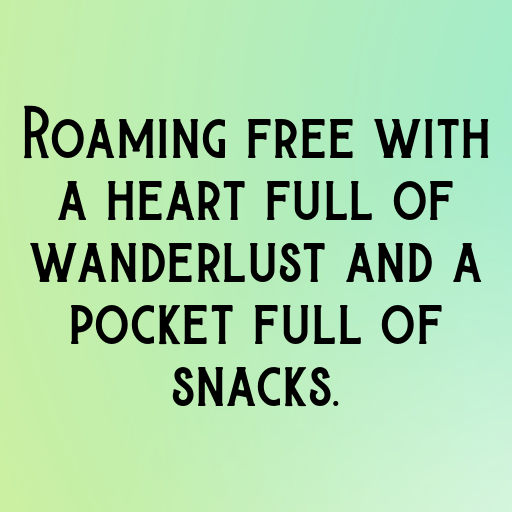 Adventurous Spirit Boy Captions Photo for Instagram In [2025]-4hUL80