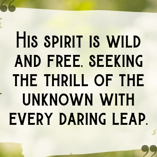 Adventurous Spirit Boy Captions Photo for Instagram In [2025]-MMviKL