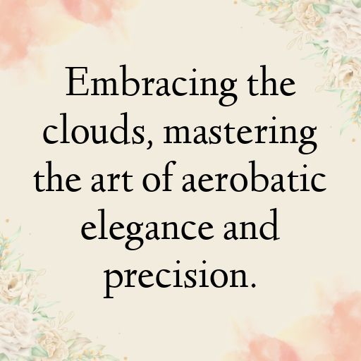 Aerobatic Flying Captions Photo for Instagram In 2025-6IAyB2