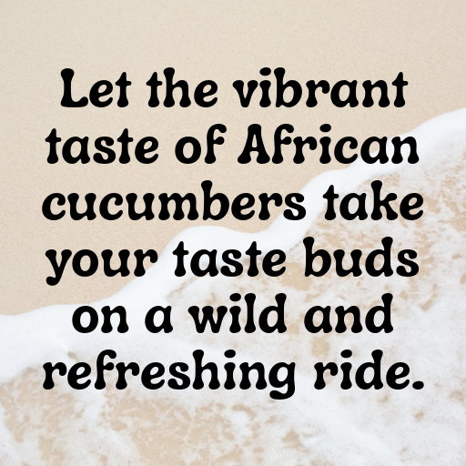 African Cucumber Captions Photo For Instagram In [2025]-vHOxCY