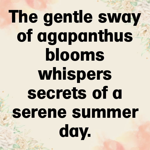Agapanthus Captions Image For Instagram In (2025)-htZvKV