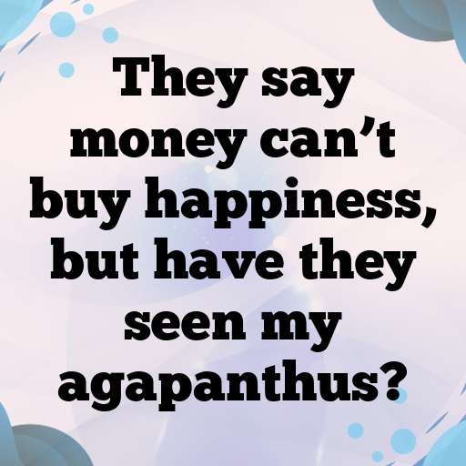 Agapanthus Captions Photo For Instagram In (2025)-0GPImG