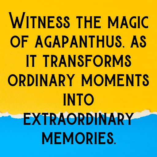 Agapanthus Captions Photo For Instagram In (2025)-YTZgHP