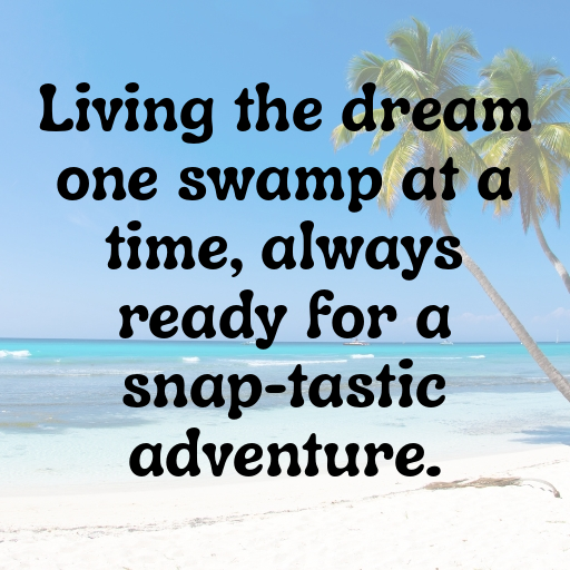 Alligator Captions Image For Instagram In [2025]-YZO3mX