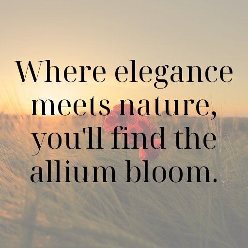 Allium Captions Image For Instagram In 2025-0thWIu
