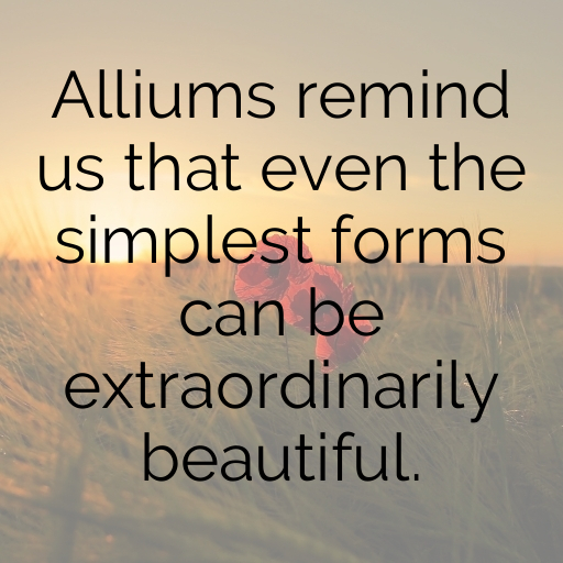 Allium Captions Photo For Instagram In 2025-tqlTmV