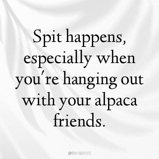 Alpaca Captions Image For Instagram In 2025-nr5sev