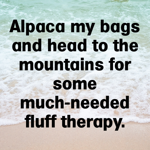 Alpaca Captions Image For Instagram In 2025-oOOBXW