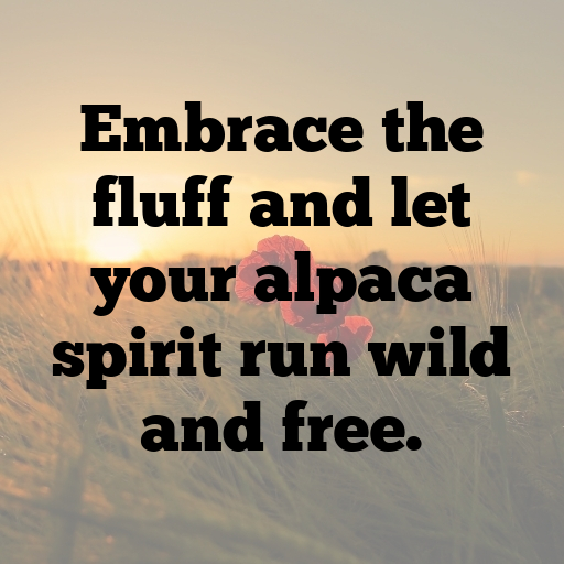 Alpaca Captions Photo For Instagram In 2025-L4dMz2