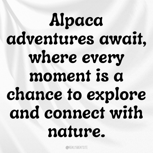 Alpaca Captions Photo For Instagram In 2025-ne5AsH