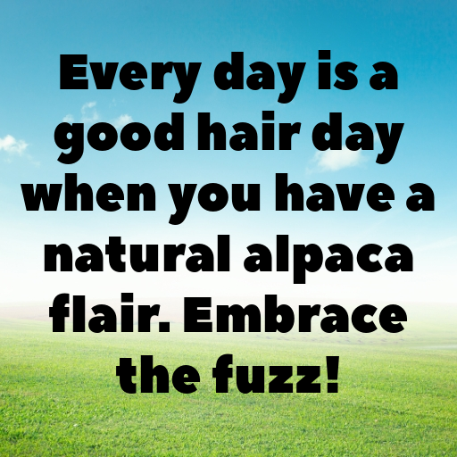 Alpaca Captions Photo For Instagram In 2025-udjpza