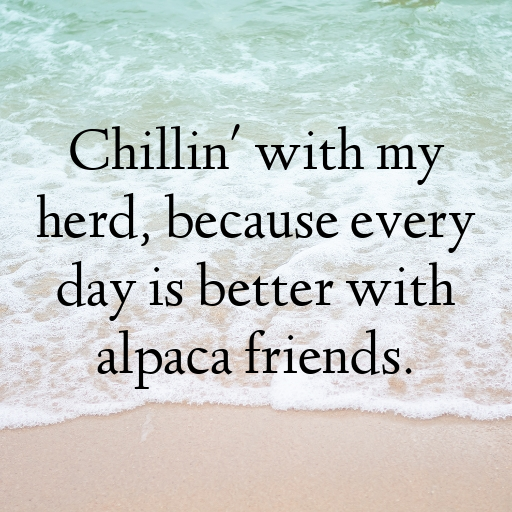 Alpaca Captions Photo For Instagram In 2025-zvnAtM