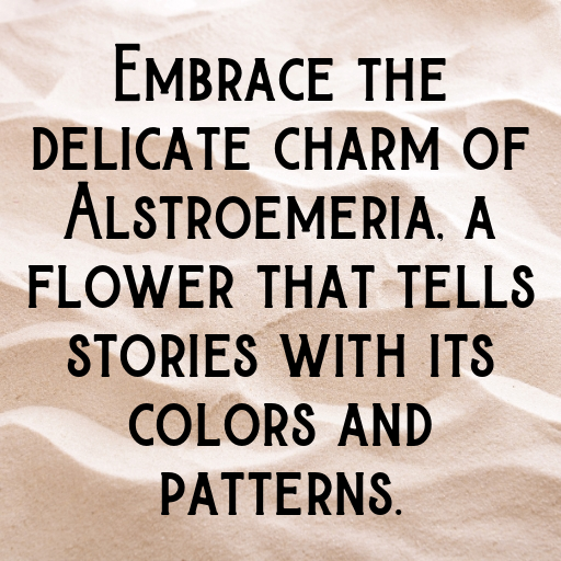 Alstroemeria Captions Image For Instagram In [2025]-dPDDb8