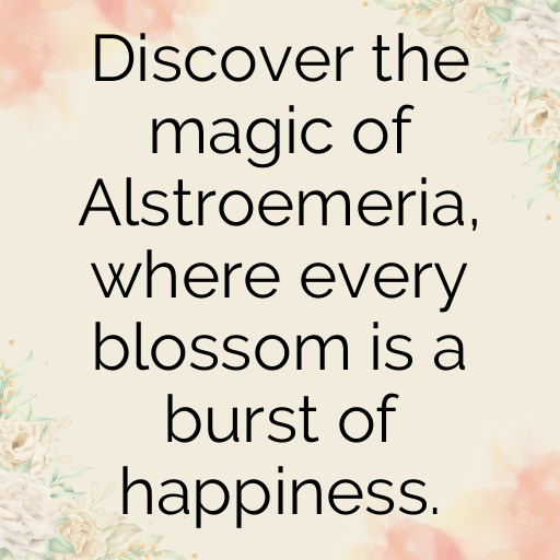 Alstroemeria Captions Image For Instagram In [2025]-iMkges