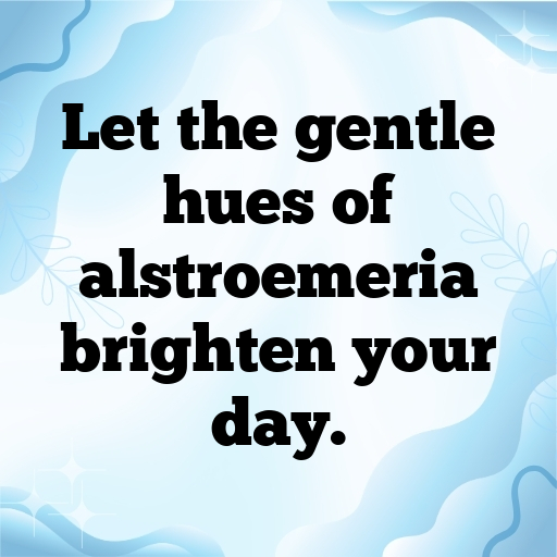 Alstroemeria Captions Photo For Instagram In [2025]-B9B7SK