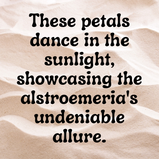 Alstroemeria Captions Photo For Instagram In [2025]-ereO3M