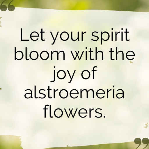 Alstroemeria Captions Photo For Instagram In [2025]-kAiEjJ
