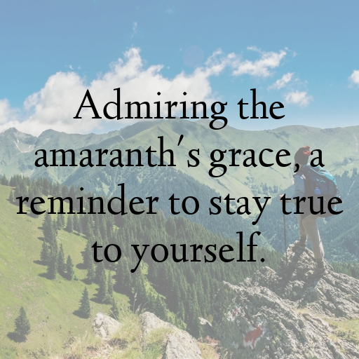 Amaranth Captions Image For Instagram In 2025-CsDIyZ