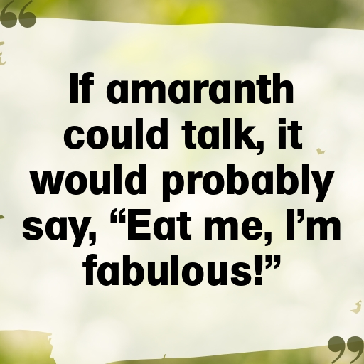 Amaranth Captions Image For Instagram In 2025-T8dlR3