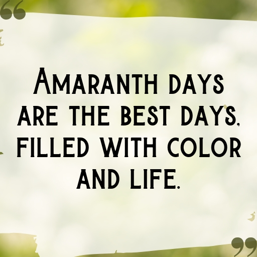 Amaranth Captions Photo For Instagram In 2025-C14MGz