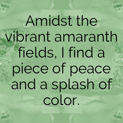 Amaranth Captions Photo For Instagram In 2025-MzMi31