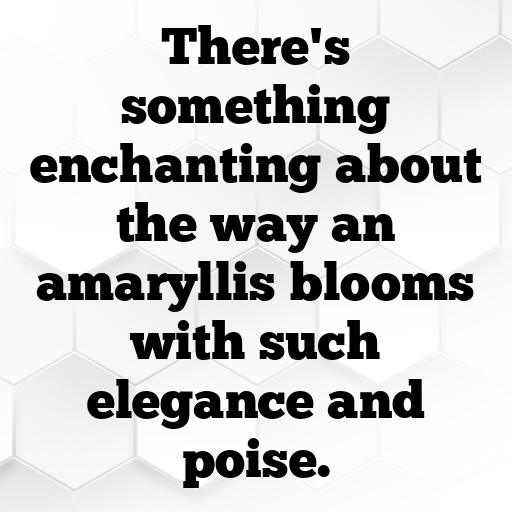 Amaryllis Captions Image For Instagram In 2025-1YCpCd