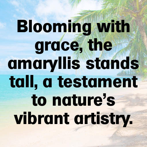 Amaryllis Captions Photo For Instagram In 2025-iDZUjs