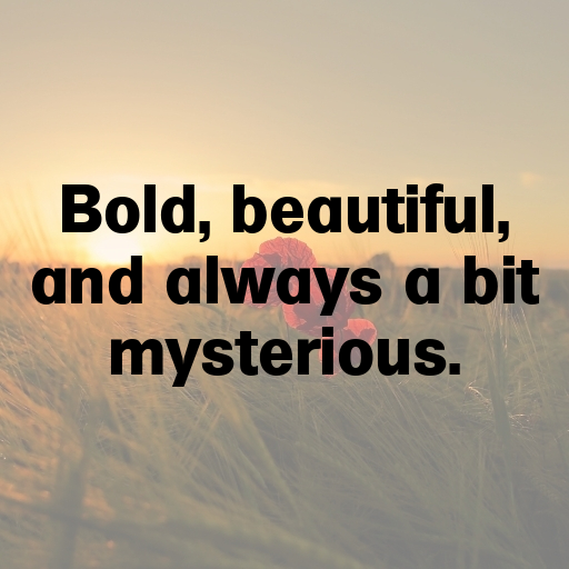 Anaconda Captions Image For Instagram In [2025]-5vbOon